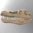 dskull.143.jpg dragon skull 3D STL model for CNC router and 3D printing