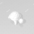 a16.png Cute Turtle Miniature - STL Printable