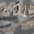 untitled5.png Allosaurus Skull 3d print Model 34 CM