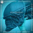 z5363144921958_648079424e2d57aed2edf4a24e3ea8f4-1.jpg Alien Xenomorph Head Decor Wearable Cosplay