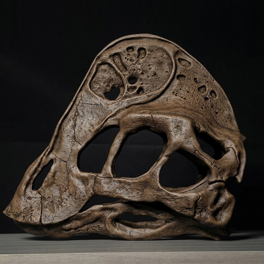 Anzu Skull
