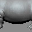 04.jpg Hippo