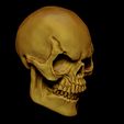 Craneorender3.0.jpg Skull / Skeletor Skull