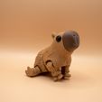 3.jpg Jouet articulé Capybara Fidget, corps imprimé en place, en plusieurs parties, cute-flexi