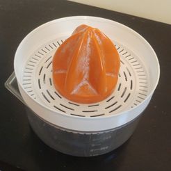 pub01.jpg STL file Replacement and repair for National RX CW200 Juicer・3D printable design to download