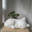 Gatito_final.jpeg Archivo OBJ Maceta gato durmiendo / Sleeping Cat plant pot・Diseño imprimible en 3D para descargar