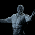 Untitled_Viewport_018.png Anatomia Humana Musculacion - Muscle Anatomy human adapted Print