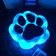IMG_9809.jpg Paw night lamp