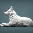 German-Shepherd5.jpg German Shepherd 3D print model