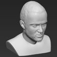 jesse-pinkman-breaking-bad-bust-ready-for-full-color-3d-printing-3d-model-obj-stl-wrl-wrz-mtl (35).jpg Jesse Pinkman Breaking Bad bust 3D printing ready stl obj