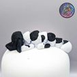 418317631_1407658656803778_799946151997245052_n.jpg Baby Flexi Dogs and Cats Set 4 (set of 10)