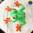 4.png Datei STL Aschenfrosch, Artikulierender Frosch, Laubfrosch, Dartfrosch, Cinderwing3D, Artikulierender flexibler Fidget Niedlicher Druck an Ort und Stelle Keine Stützen・Design für 3D-Drucker zum herunterladen