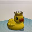 IMG_3631.jpg duck with crown
