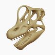 22.jpg Brachiosaurus Skull