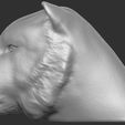 11.jpg Tiger head for 3D printing
