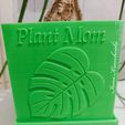 plant-mom-planter-3d-model-a49de05201.jpg Plant Mom planter