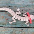 IMG_3999.jpg Free STL file ARTICULATED AXOLOTL - PRINT-IN-PLACE ARTICULATED REALISTIC AXOLOTL・3D printable model to download