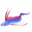 00G.png DOWNLOAD Hairtail DOWNLOAD FISH DINOSAUR DINOSAUR Hairtail FISH 3D MODEL ANIMATED - BLENDER - 3DS MAX - CINEMA 4D - FBX - MAYA - UNITY - UNREAL - OBJ -  Hairtail FISH DINOSAUR
