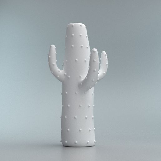 CATUS-WHITE5.jpg CACTUS