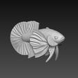 z5494651688673_f263bbfaf961478c2a870b1b7094b923.jpg Betta Fish Dumble - Ready For 3D Printing