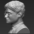 4.jpg Harry Potter bust ready for full color 3D printing
