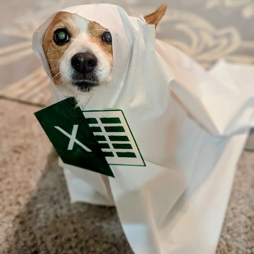 Ein-Excel2.jpg Excel Sheet costume
