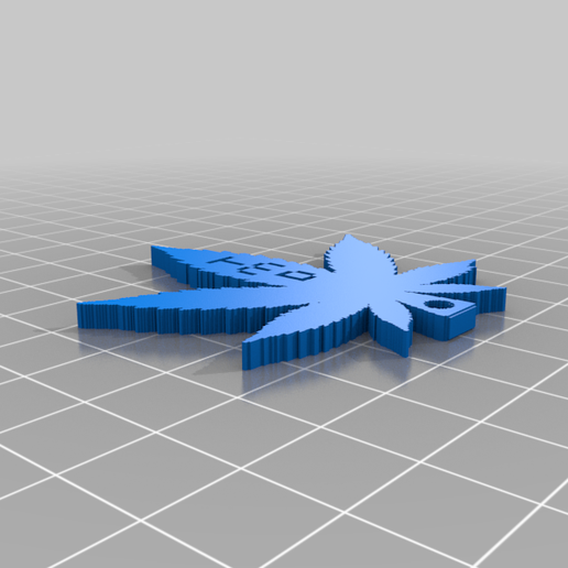 TMD keychain