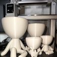 IMG20260513182821.jpg Family Vases
