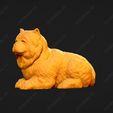 3849-Chow_Chow_Smooth_Pose_08.jpg Chow Chow Smooth Dog 3D Print Model Pose 08