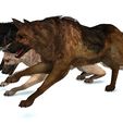 019.jpg DOG DOG DOWNLOAD German Shepherd 3d model animated for blender-fbx-unity-maya-unreal-c4d-3ds max - 3D printing DOG DOG DOG WOLF POLICE PET HUNTER RAPTOR
