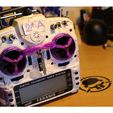 ecc2f669abc839f56e31f1f0e7a0d451_preview_featured.JPG Taranis gimbal protection
