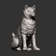 shiba-inu11.jpg shiba inu 3D print model