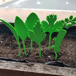 Capture d’écran 2018-04-25 à 11.39.21.png Free STL file Plant label herbs・3D printable design to download