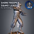 91.jpg Shore trooper Squad leader Fan art Star wars