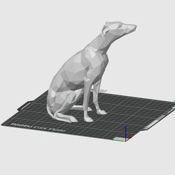 Screenshot-2023-11-09-at-18.43.46.jpeg Greyhound - whippet