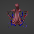 6.png 3D Model of Male Reproductive System and Veins