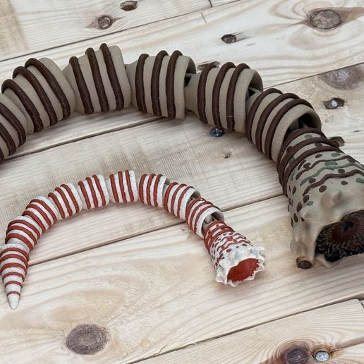 IMG_0404.jpeg Mini sandworm