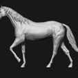 13.jpg Thoroughbred Horse model 3D print model