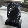 IMG_3943.jpeg Voronoi money box owl