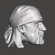 Screenshot-1464.png WWE WWF LJN Style Hulk Hogan Bandana Head Sculpt