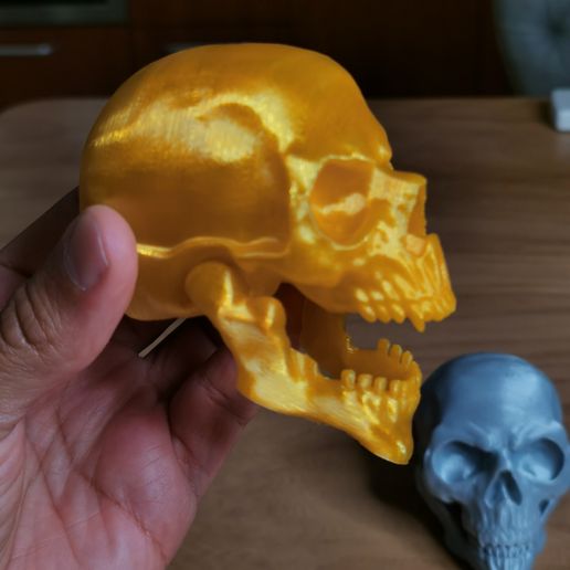 Crânio articulado com mandíbula móvel - Impressão no local, sem suportes a404