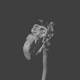 Ekran-goruntusu-2025-11-29-000503.png Ape Skull Hammer For Kong