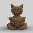 SimLab2957.png Low Poly Lesen Katze - Bibliothek Dekor