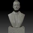 Nav_0008_Layer-14.jpg Alexei Navalny 3d print bust FREE Textured