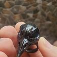 20210902_133354.jpg RAVEN RING