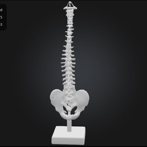 🧪 3D Model of Human Spine Anatomy Model With Foam Discs・ STL File for ...