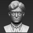 1.jpg Harry Potter bust ready for full color 3D printing