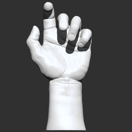 🧑‍🏫 Anatomy Study - Realistic Hand・ STL File for 3D printing・Cults