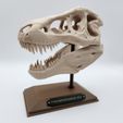cda434cb7fc1f75710c9f5d1ca0e92f4.jpg Dinosaur T-Rex Bone Sculpture - Skull Fossil