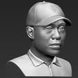 tiger-woods-bust-ready-for-full-color-3d-printing-3d-model-obj-mtl-fbx-stl-wrl-wrz (28).jpg Tiger Woods bust ready for full color 3D printing
